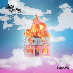 Cover of Brand New