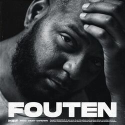 Cover of Fouten
