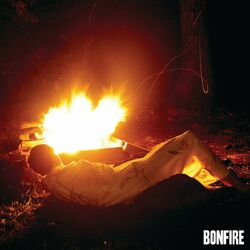 Cover of Bonfire