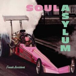 Cover of Freak Accident