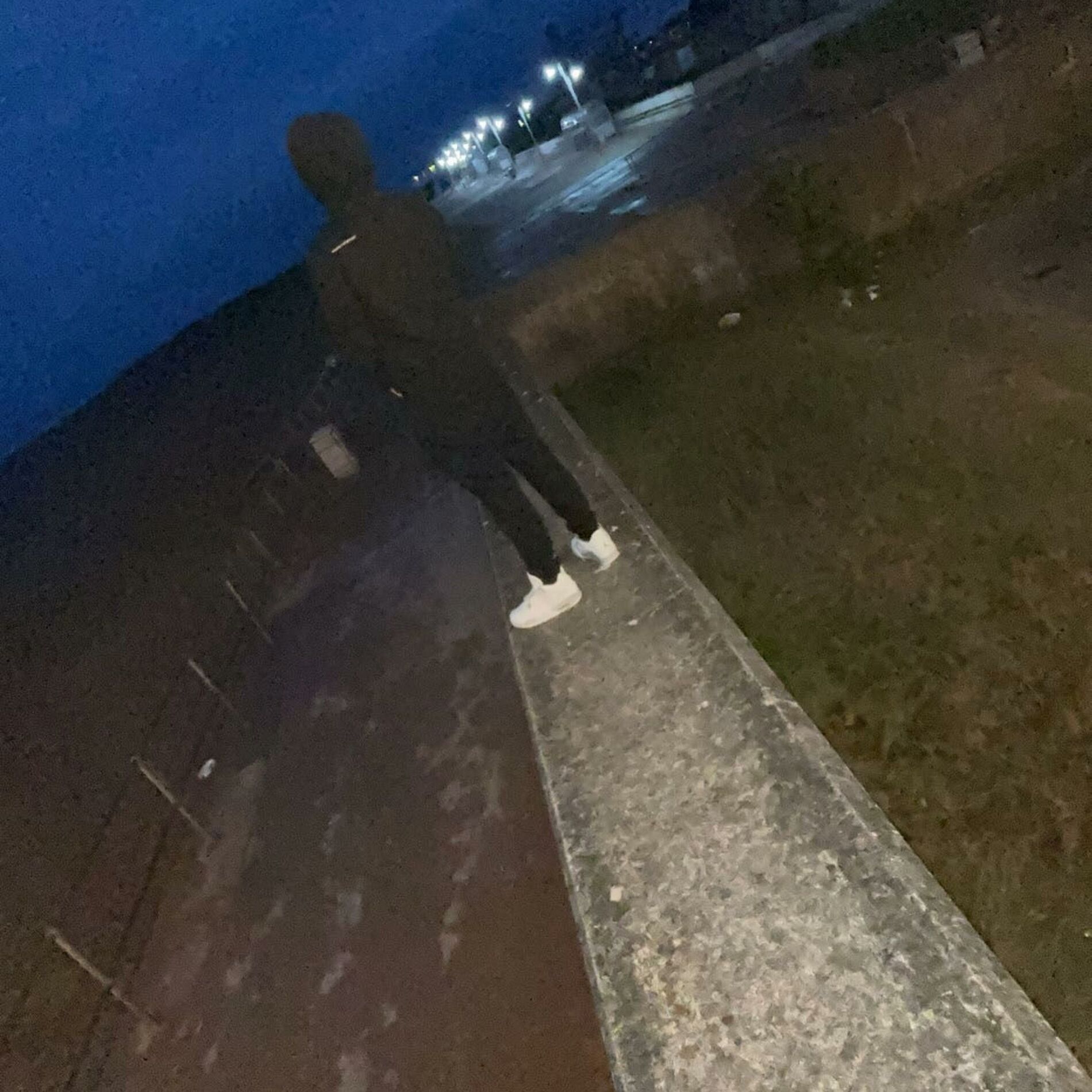 Album cover of Swamp
