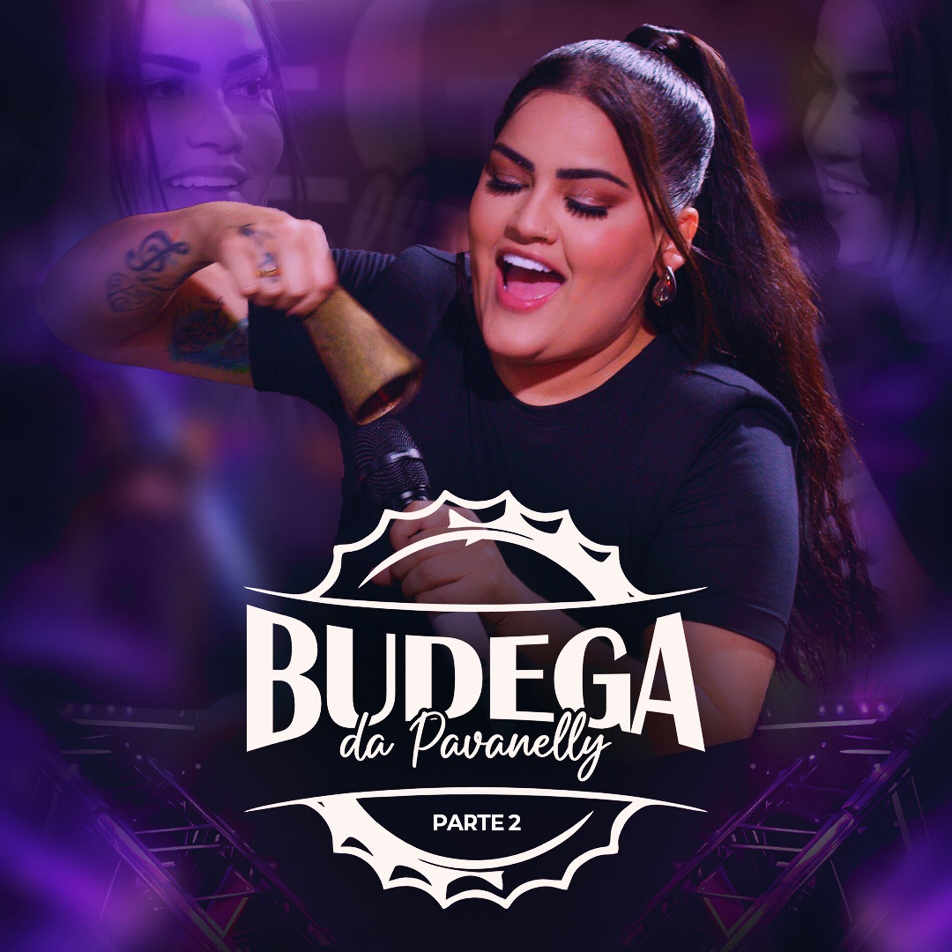 Album cover of Budega Da Pavanelly, Pt.2 (Ao Vivo)