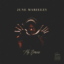 Cover of Fly (The Remixes)