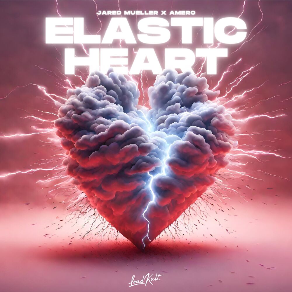 Picture of Elastic Heart