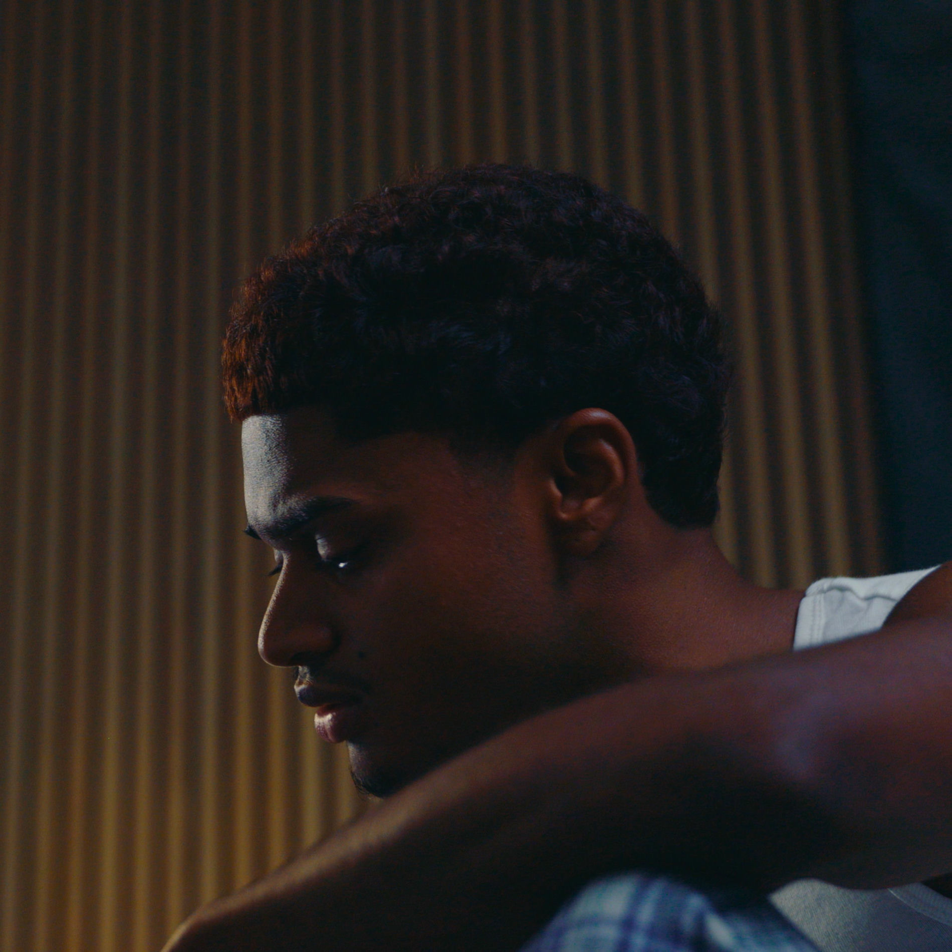 Album cover of Cicatrices