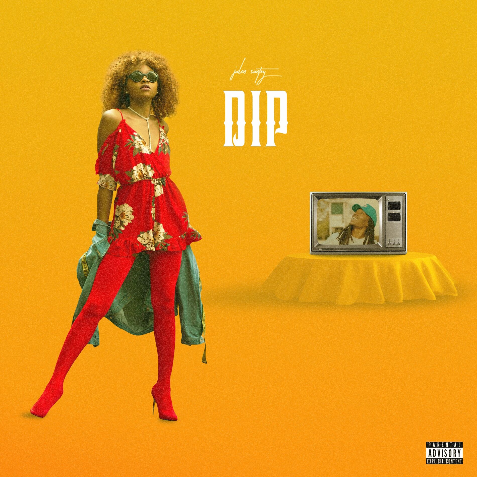 Album cover of Dip