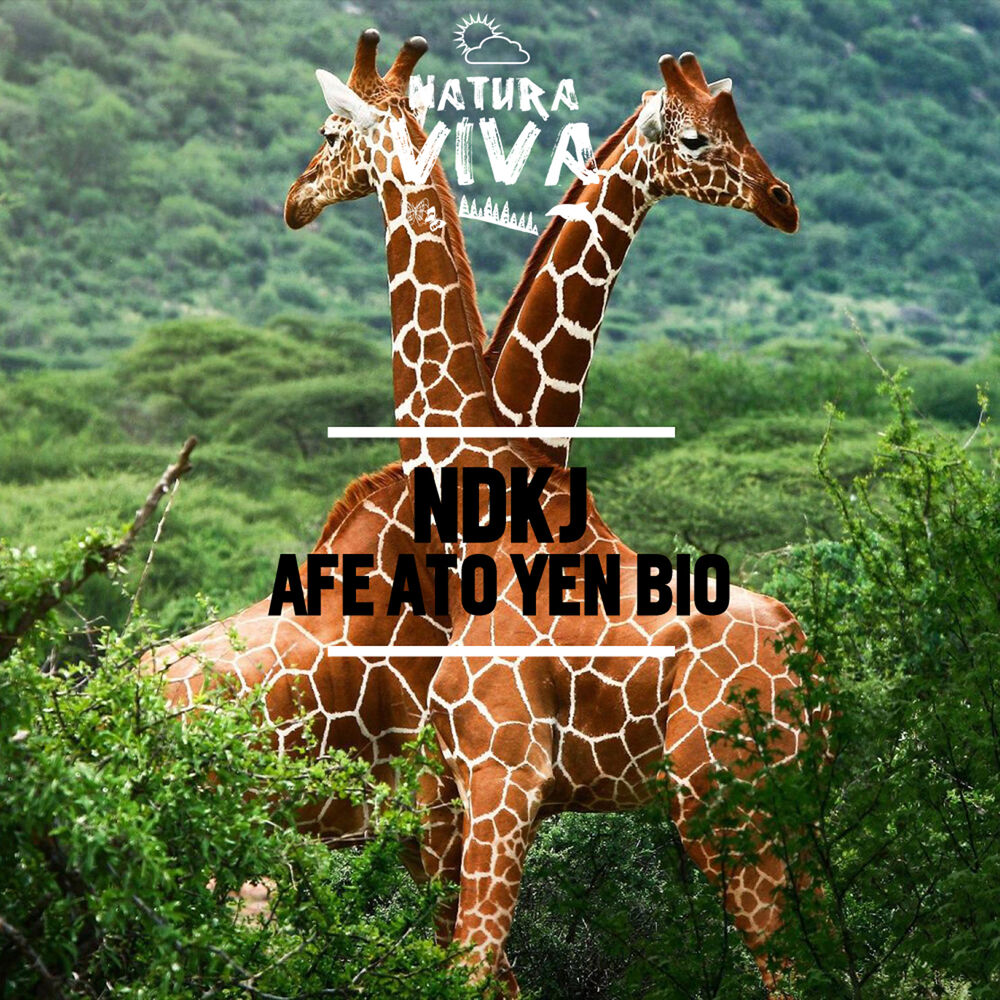 Picture of Afe Ato Yen Bio