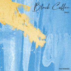 Cover of Crazy
