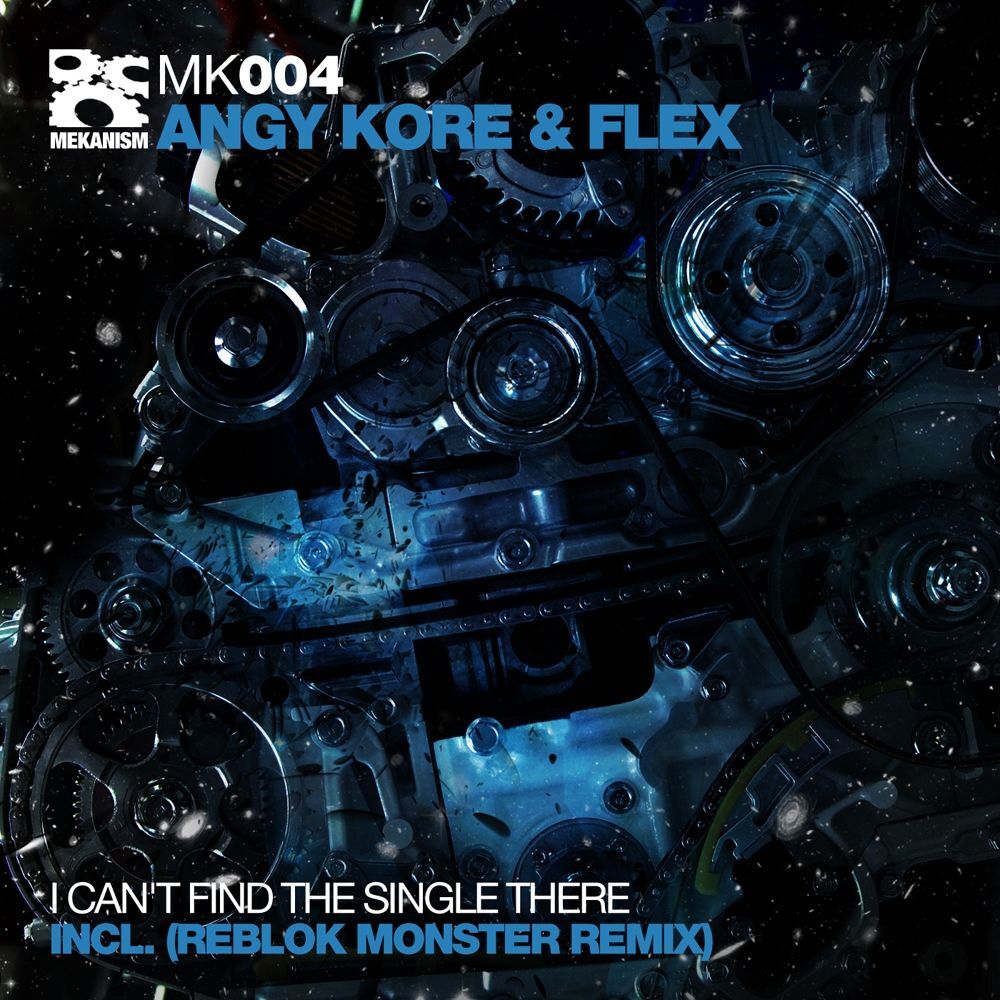 Picture of I Can't Find The Single There
