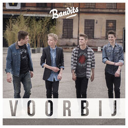 Cover of Voorbij