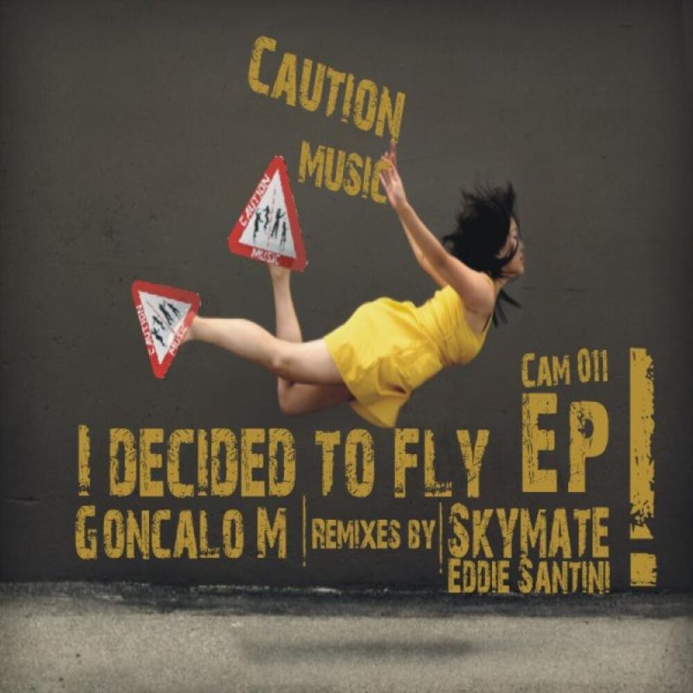 Picture of I Decided To Fly EP