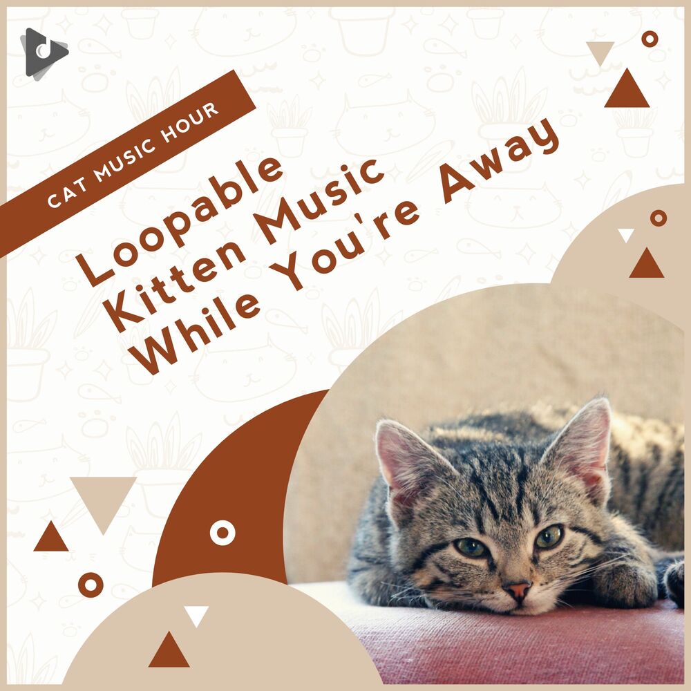 Picture of Loopable Kitten Music While You're Away