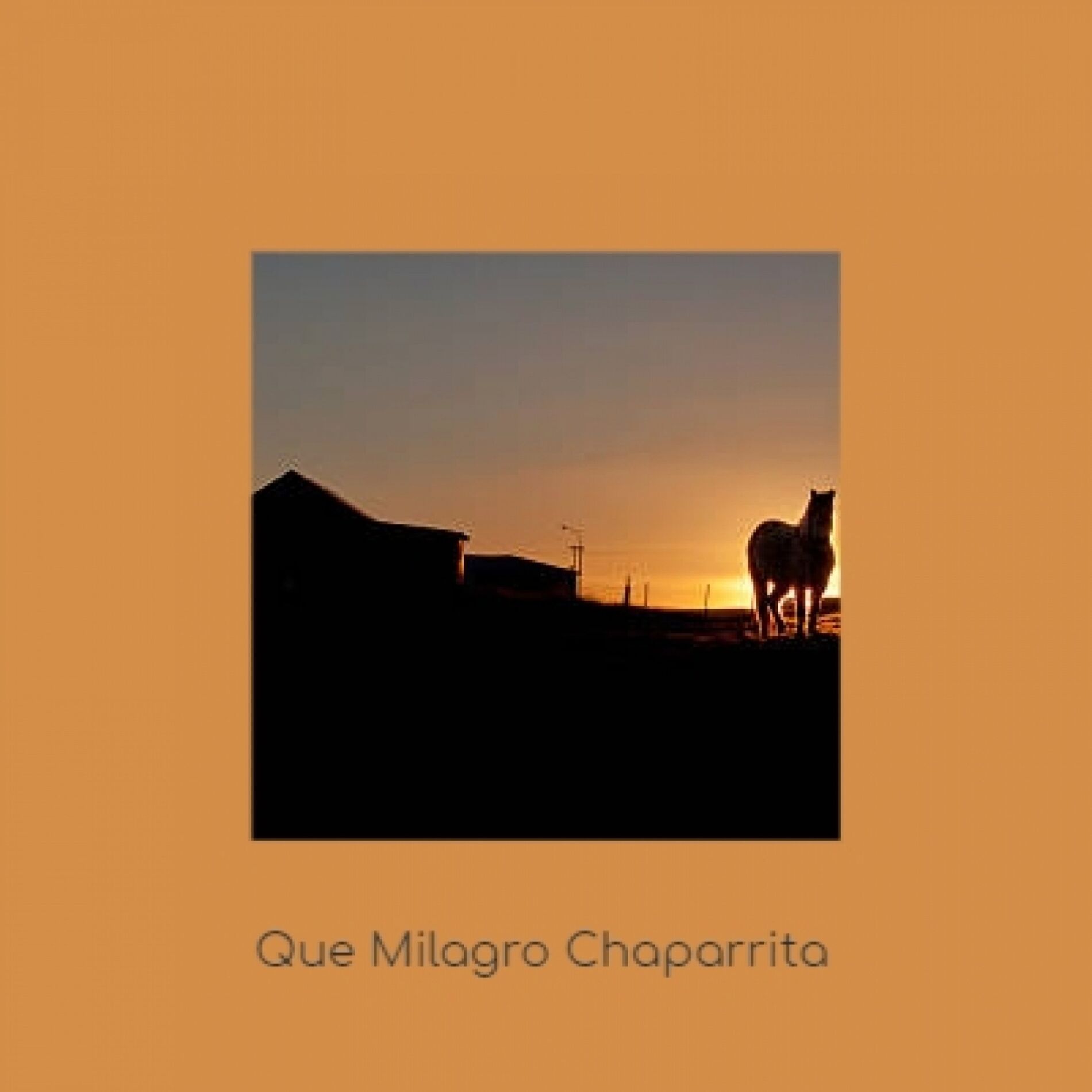 Album cover of Que Milagro Chaparrita