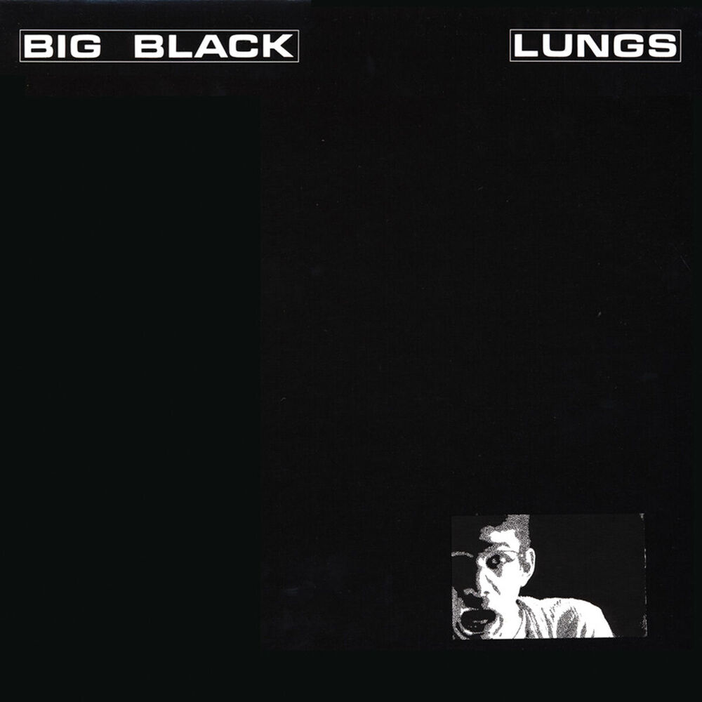 Picture of Lungs (Remastered)