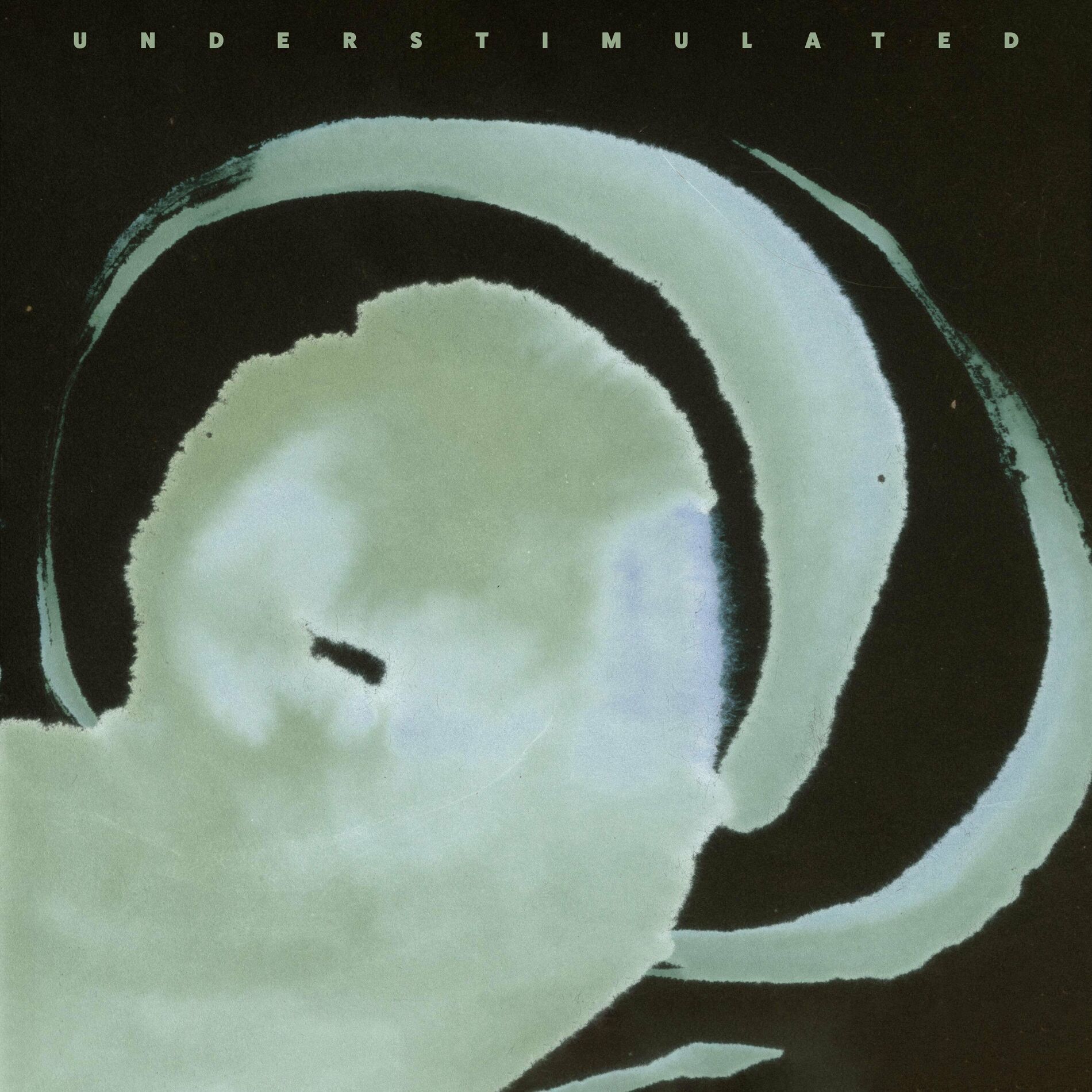 Album cover of Understimulated
