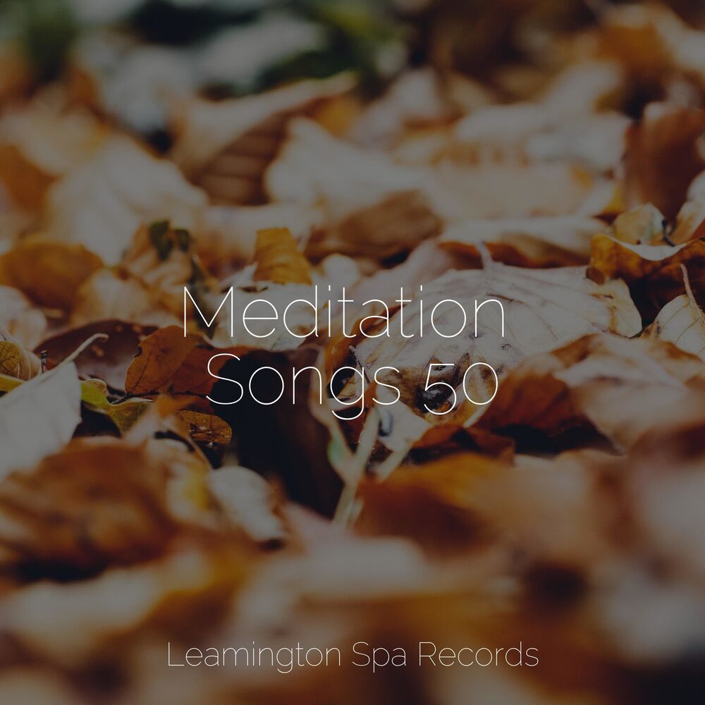 Picture of Meditation Songs 50