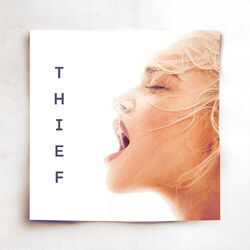 Cover of Thief