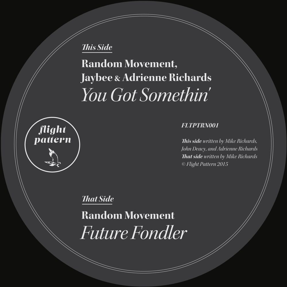 Picture of You Got Somethin' / Future Fondler