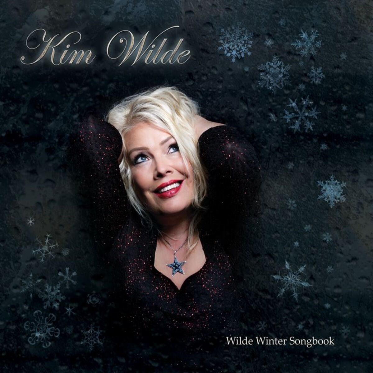 Album cover of Wilde Winter Songbook
