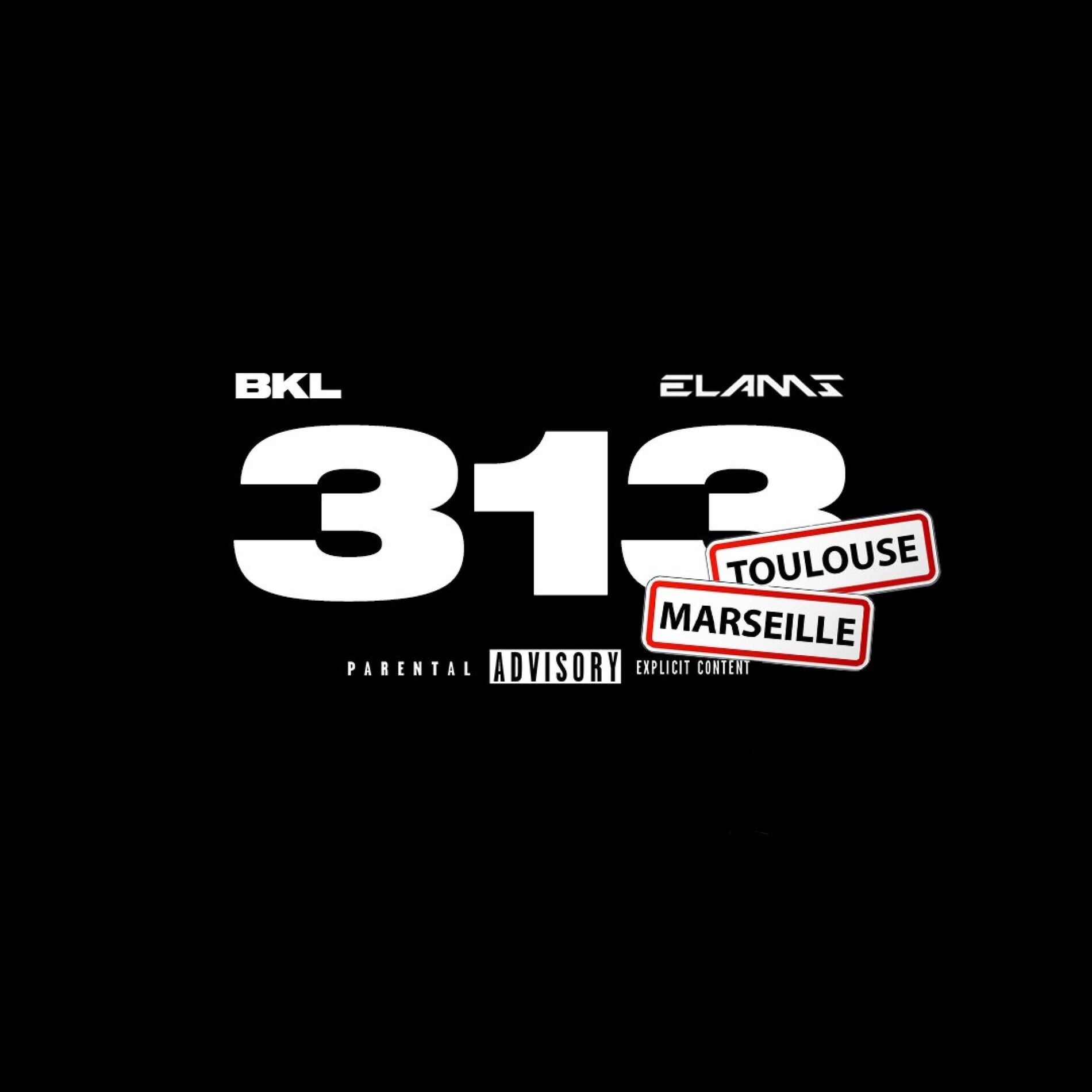 Album cover of 313 TM (feat. Elams)