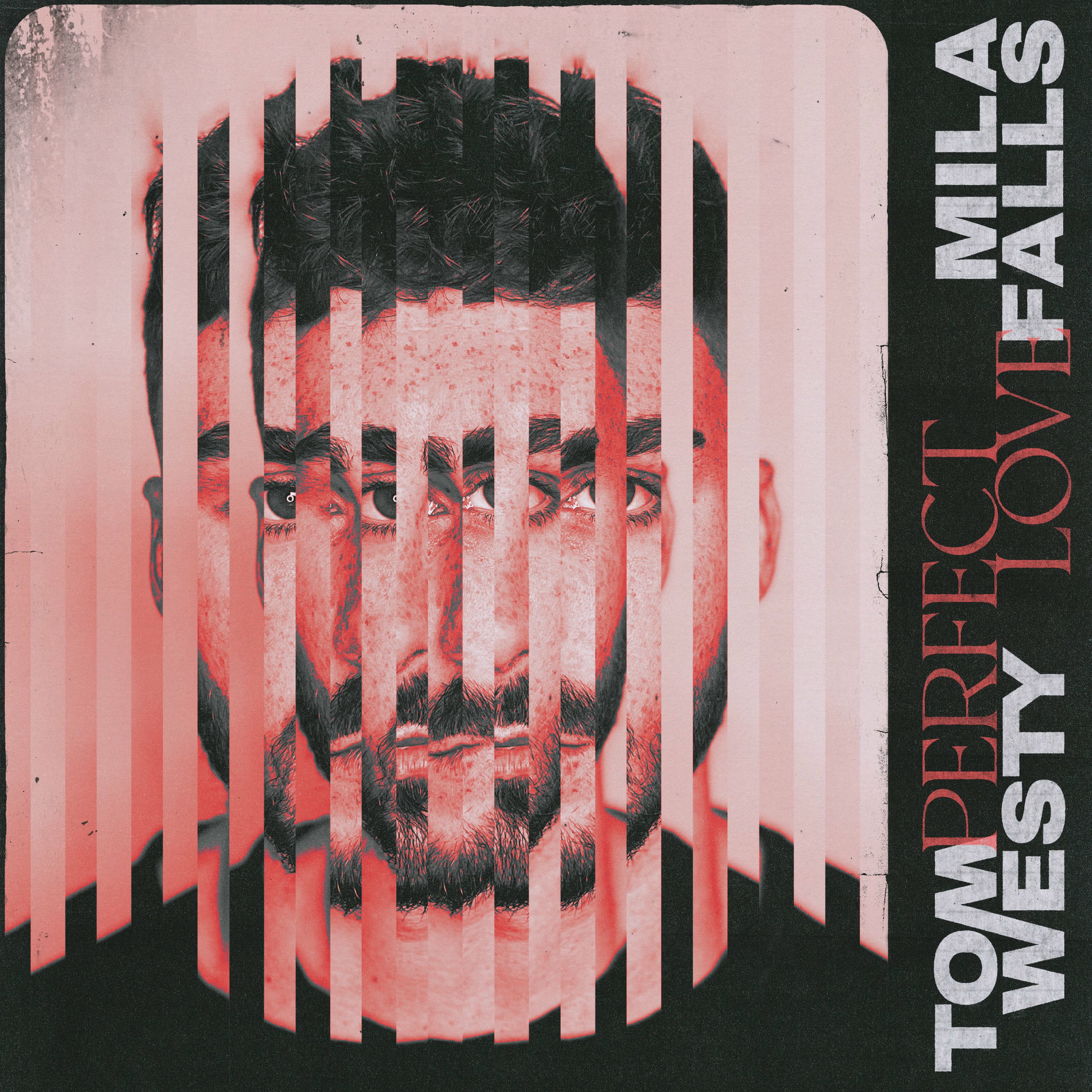 Album cover of Perfect Love