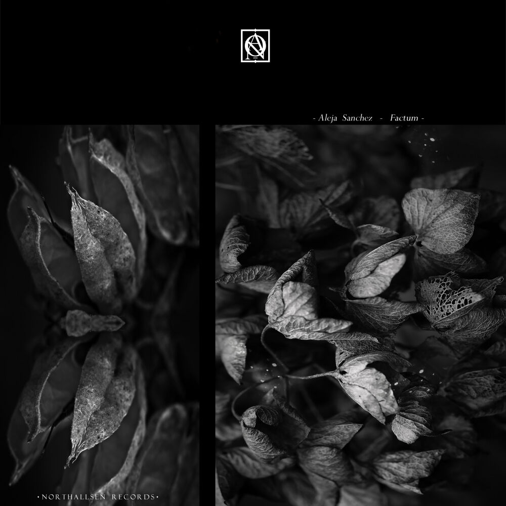 Picture of Factum