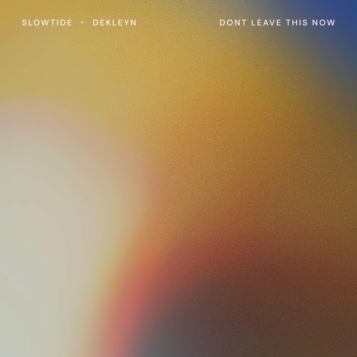 Album cover of Don't Leave This Now