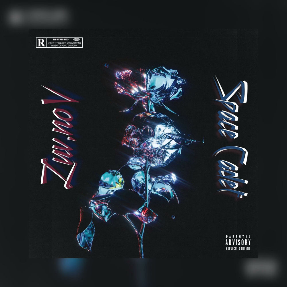 Album artwork for Luv, noV by Space Cadet