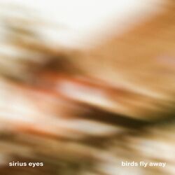 Cover of Birds Fly Away