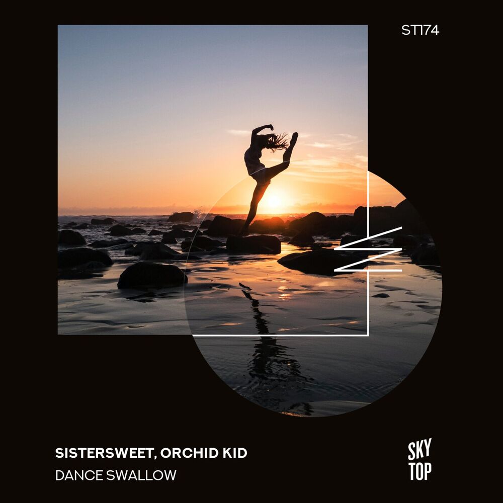 Picture of Dance Swallow (Max Effe Radio Edit)