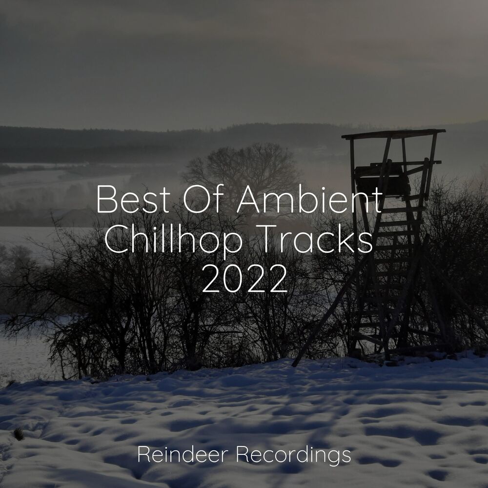 Picture of Best Of Ambient Chillhop Tracks 2022