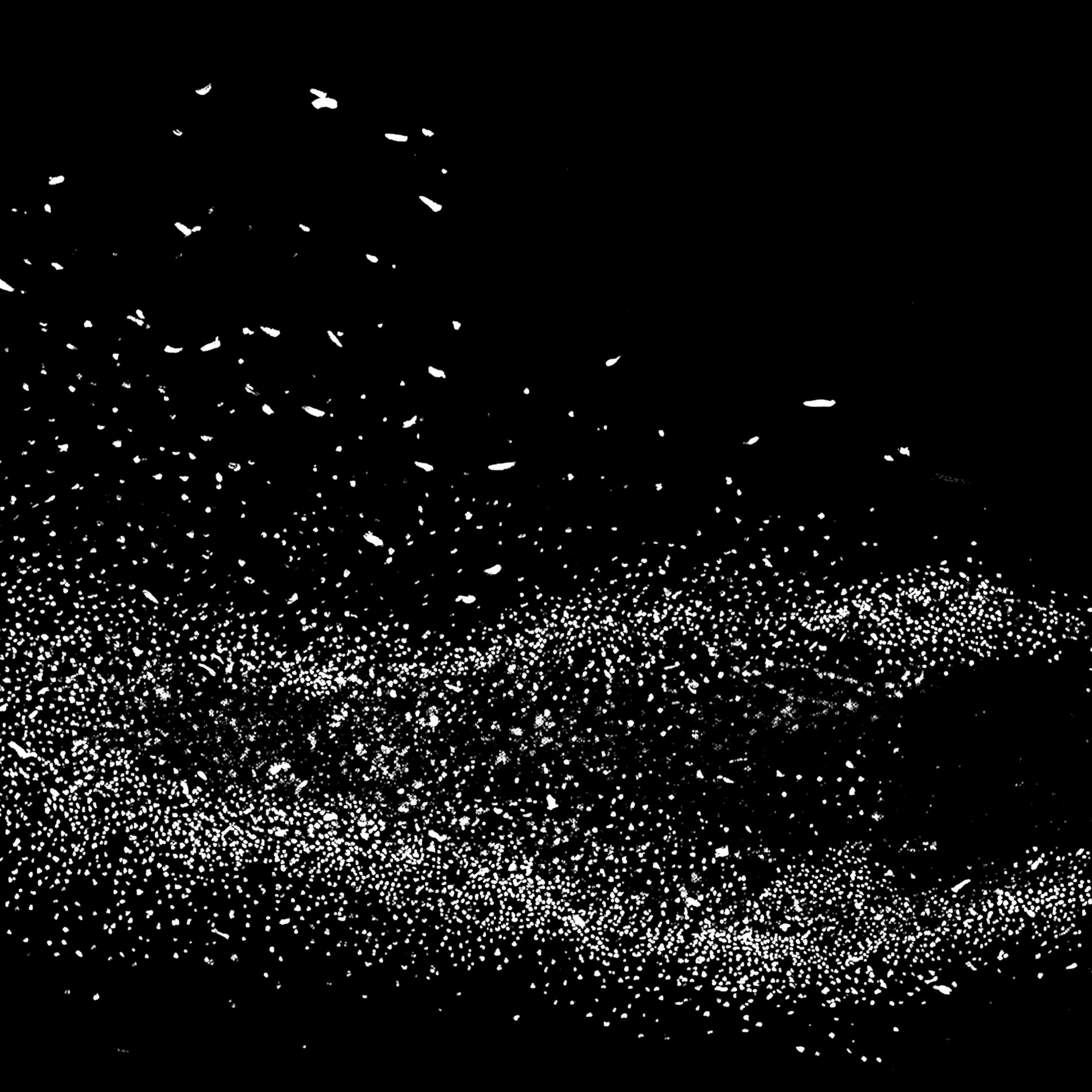 Album cover of A Dark Murmuration of Strings