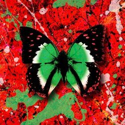 Cover of 2step (feat. Ultimo)