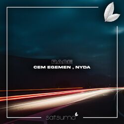 Cover of Race