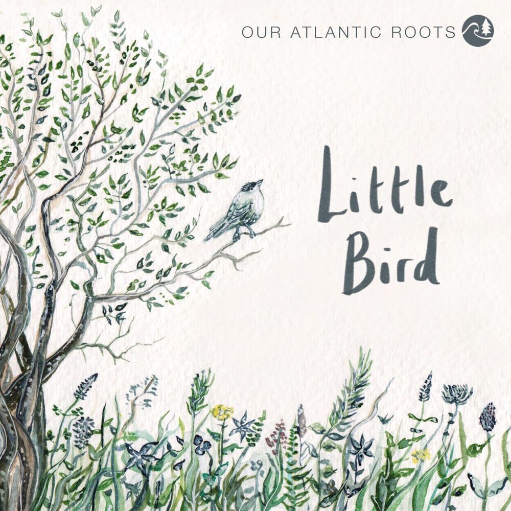 Picture of Little Bird