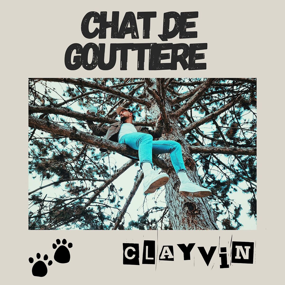 Album cover of Chat de gouttière