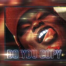 Cover of Do You Copy