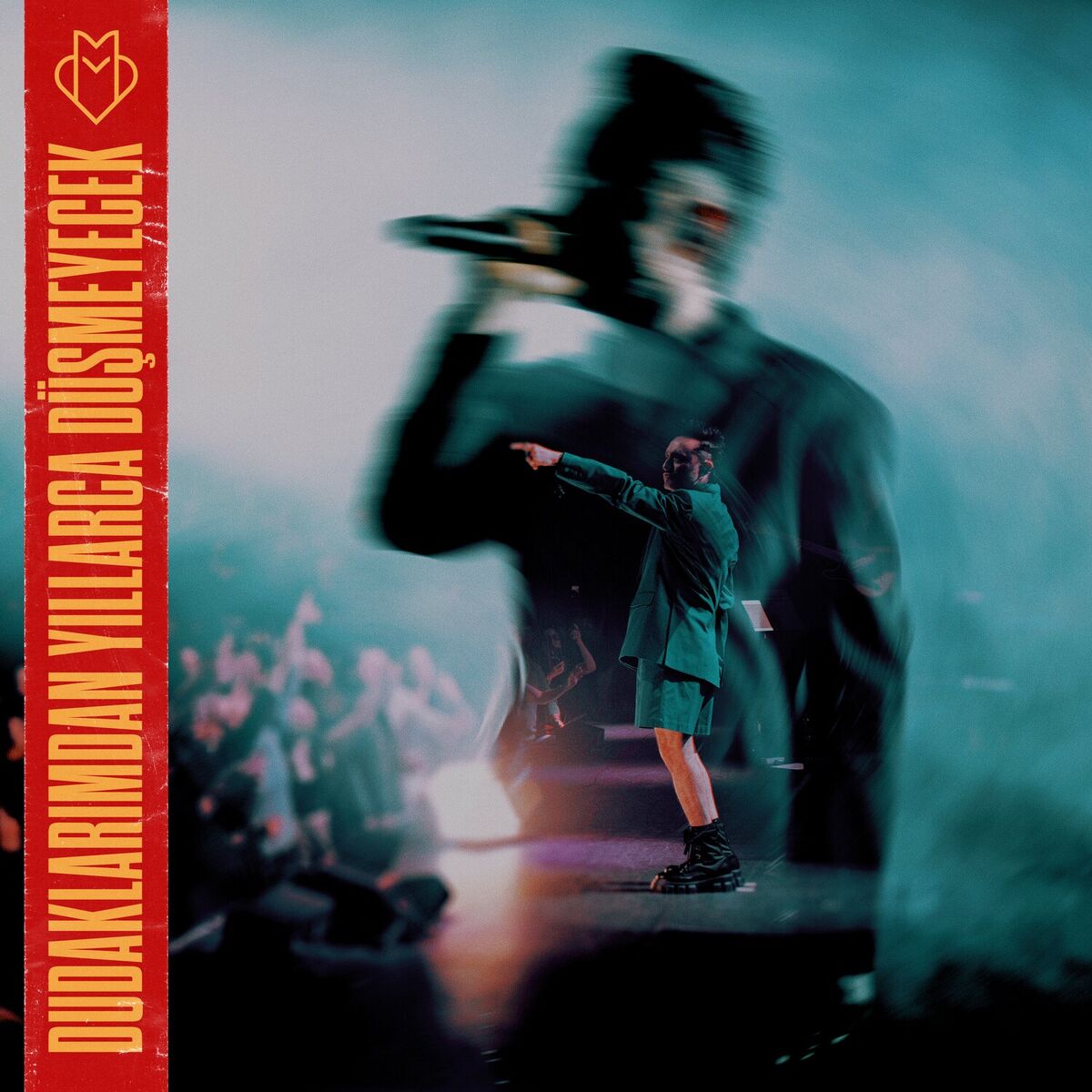 Album cover of Düldül