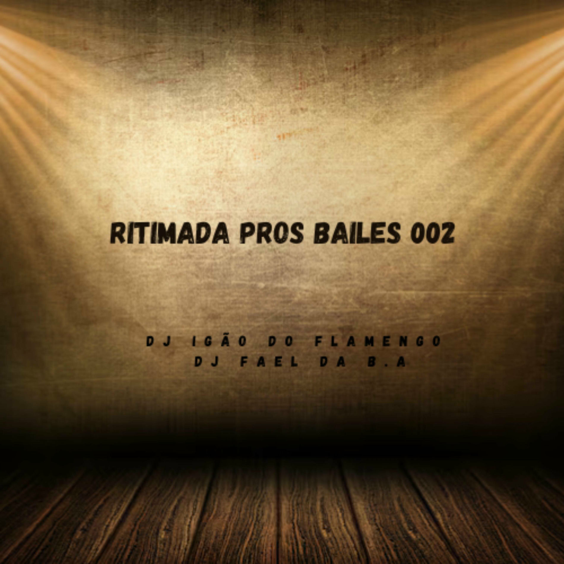 Album cover of RITIMADA PROS BAILES 002 (feat. DJ FAEL DA BA)
