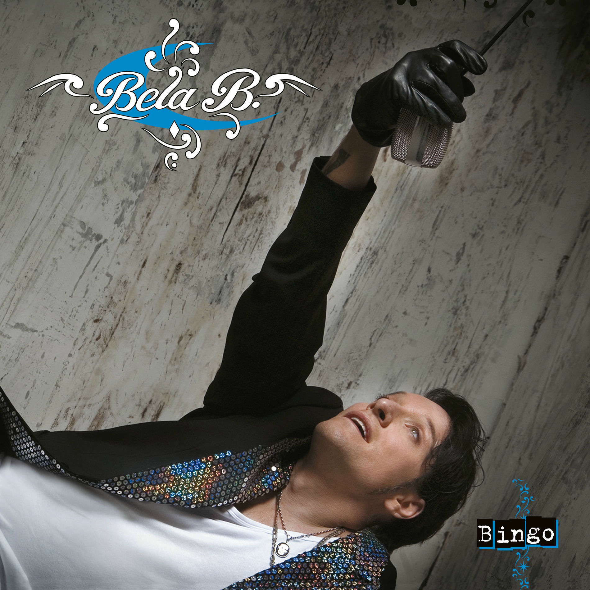 Album cover of B-Vertüre