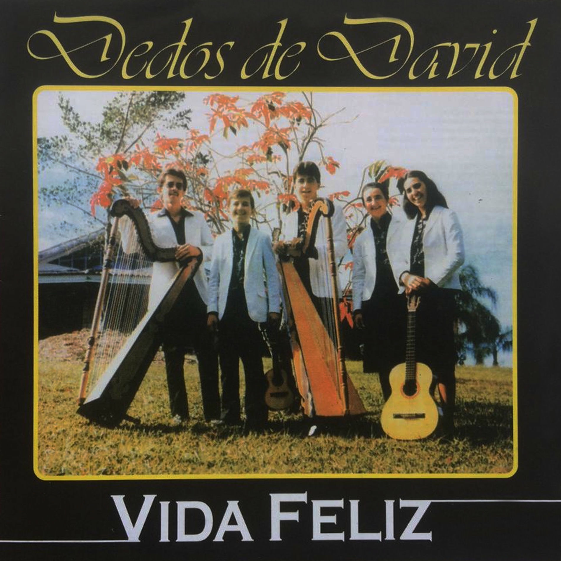 Album cover of Vida Feliz