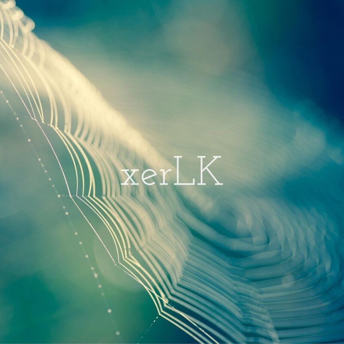Album cover of In Love