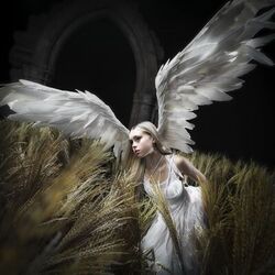 I Am Digital, I Am Divine