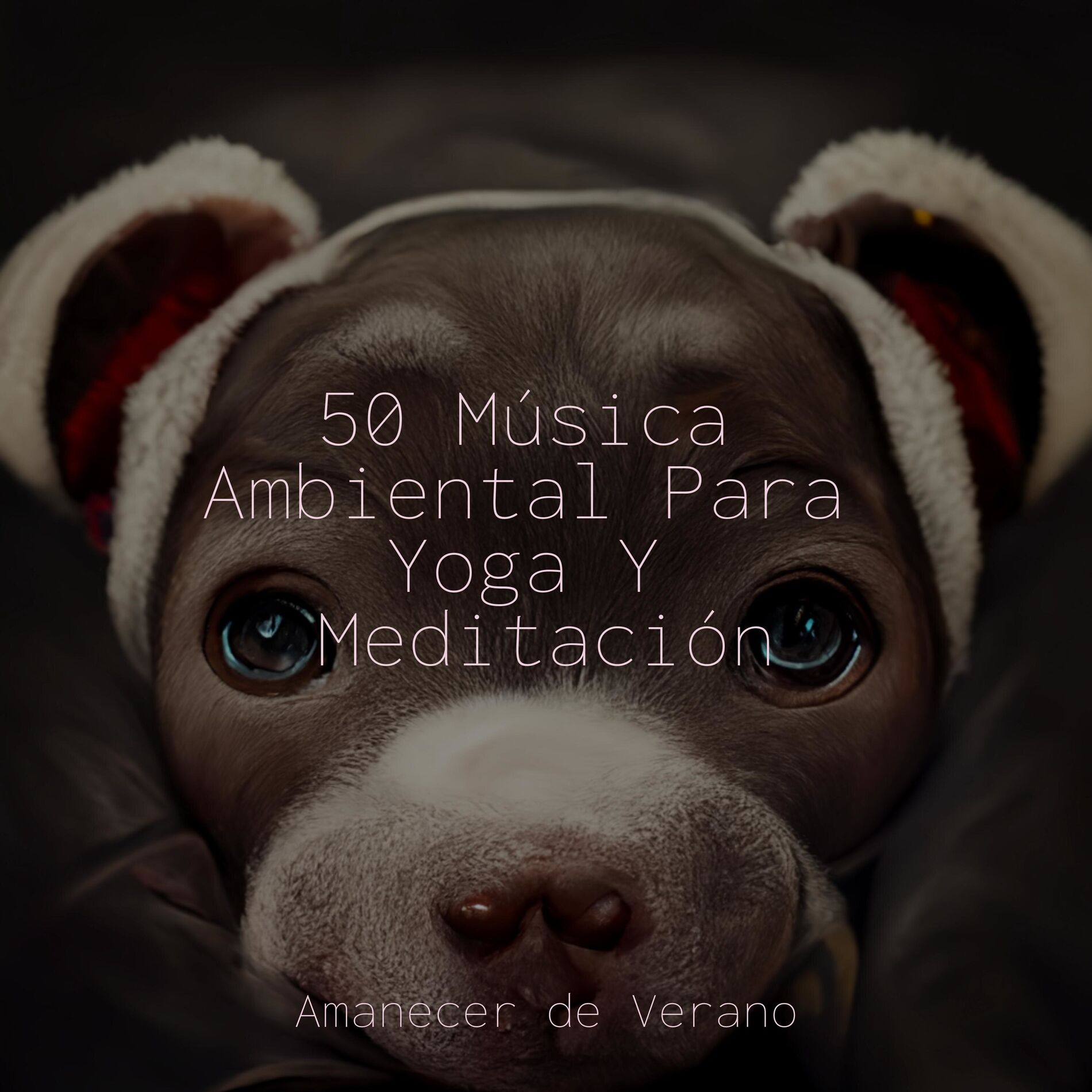Album cover of 50 Música Ambiental Para Yoga Y Meditación
