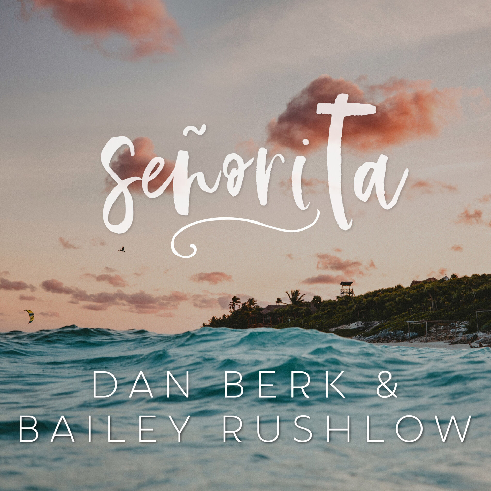 Album cover of Senorita