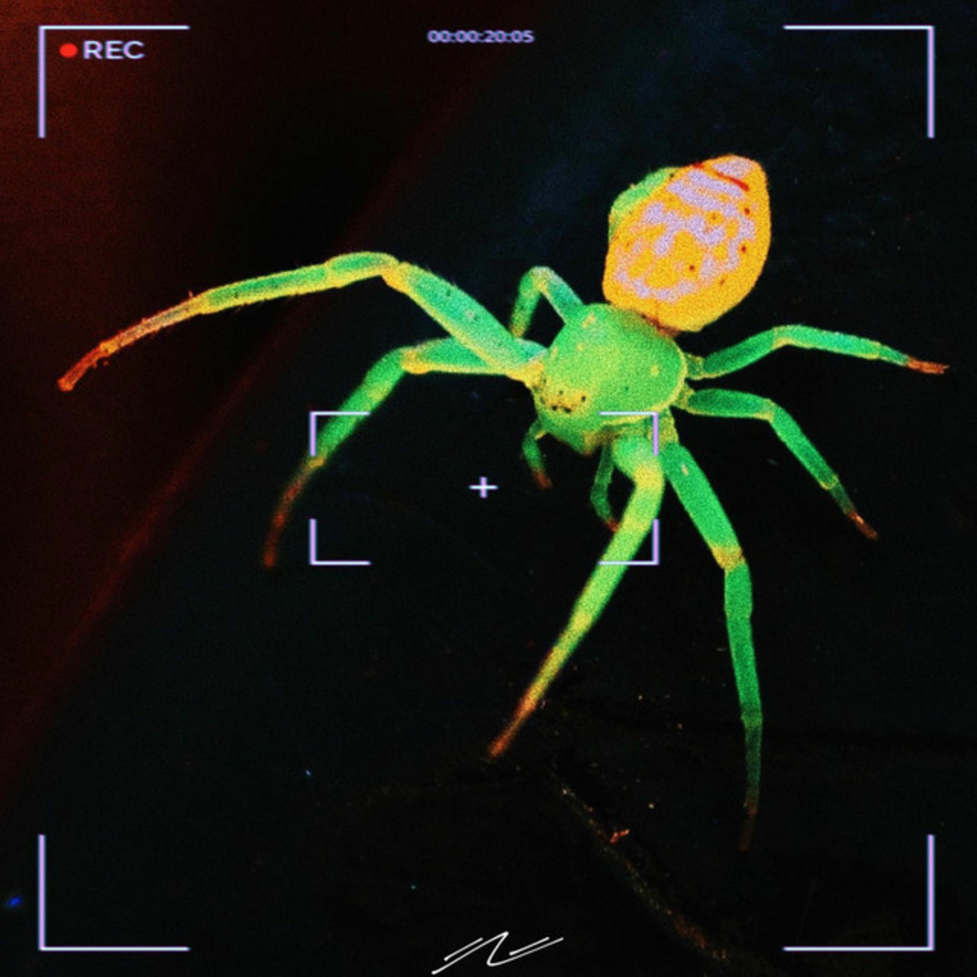 Album cover of Bank Account Slowed - Remix