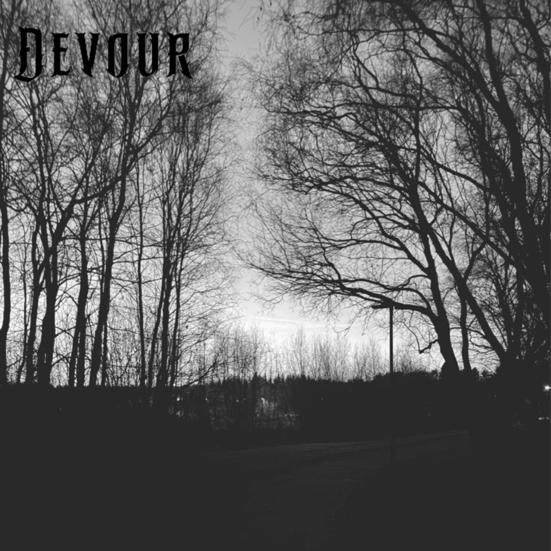 Album cover of Devils Curse