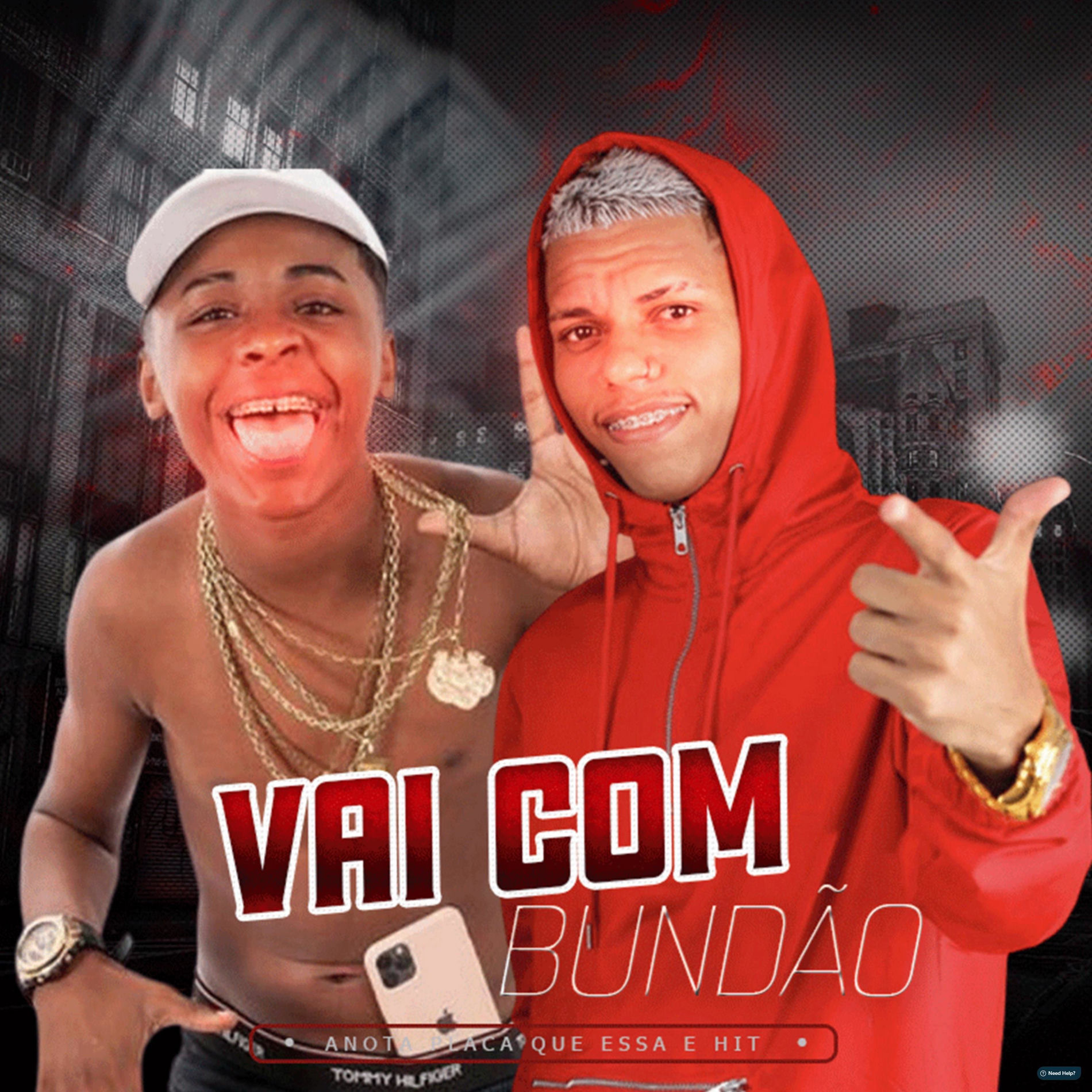 Album cover of Vai Com Bundão, Anota Placa Que Essa É Hit