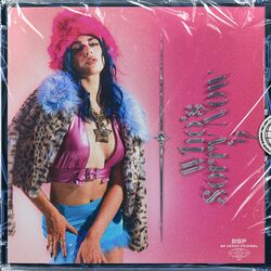 Cover of Who's Sorry Now?
