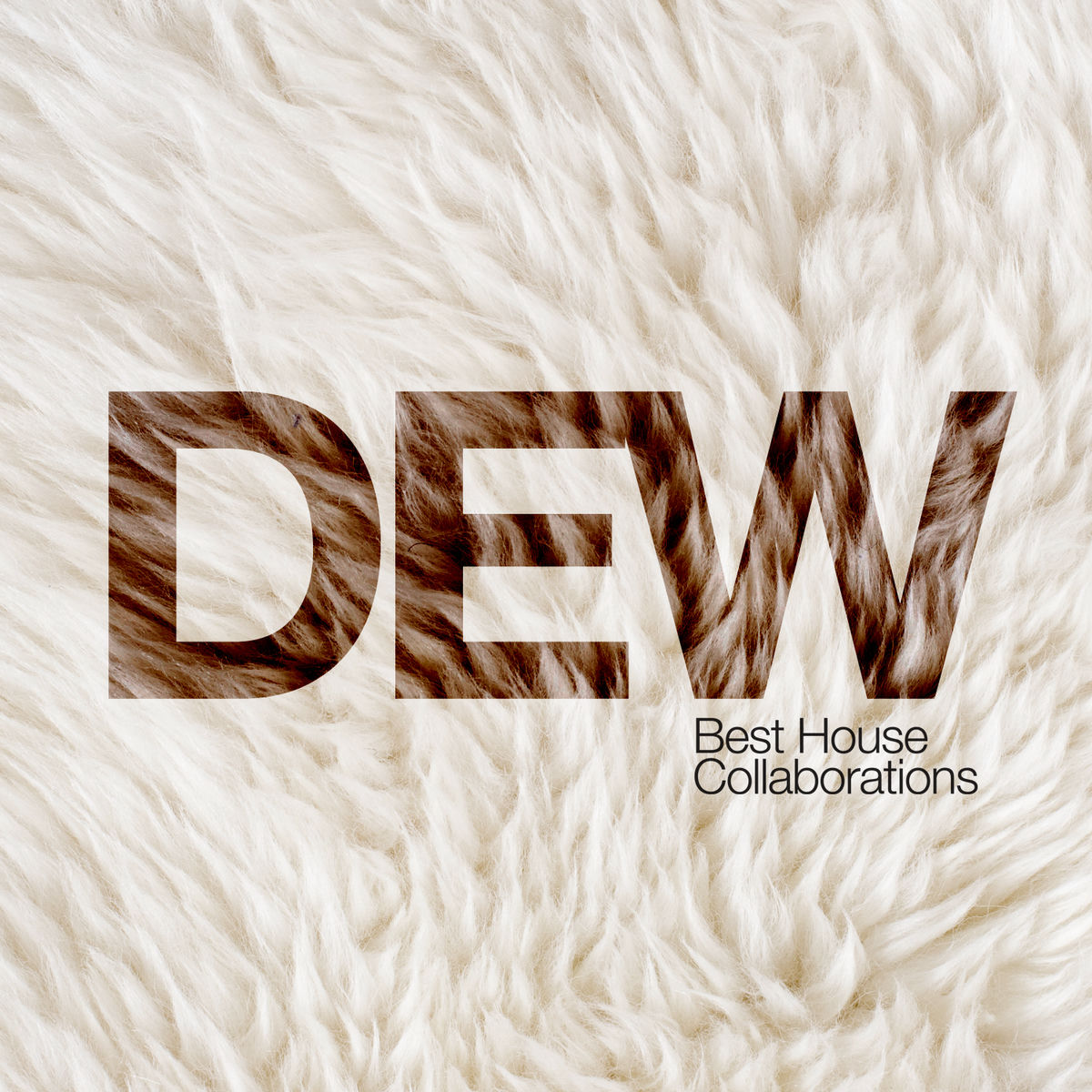 Album cover of Best House Collaborations